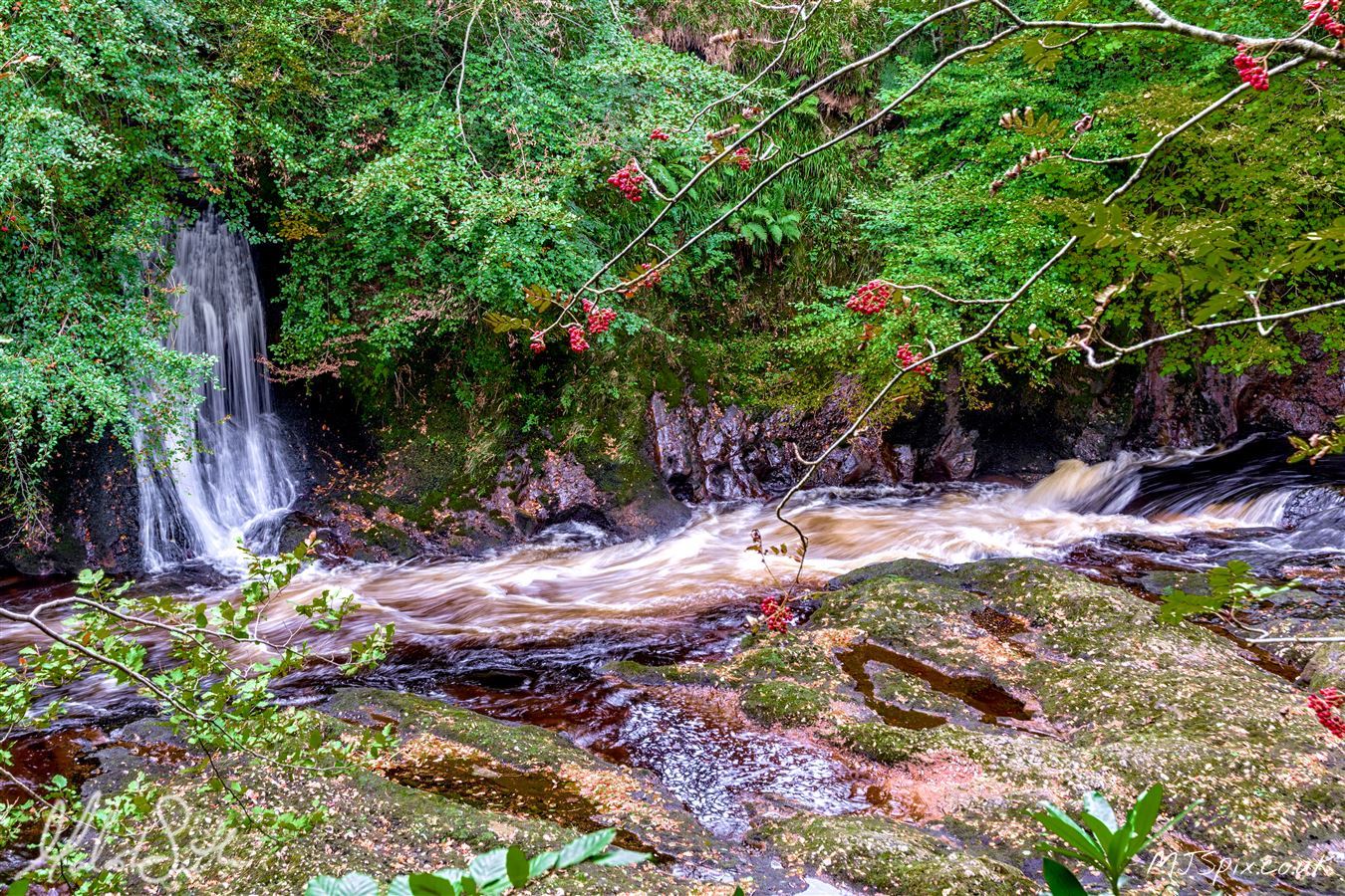 Shot along the River North Esk on the 