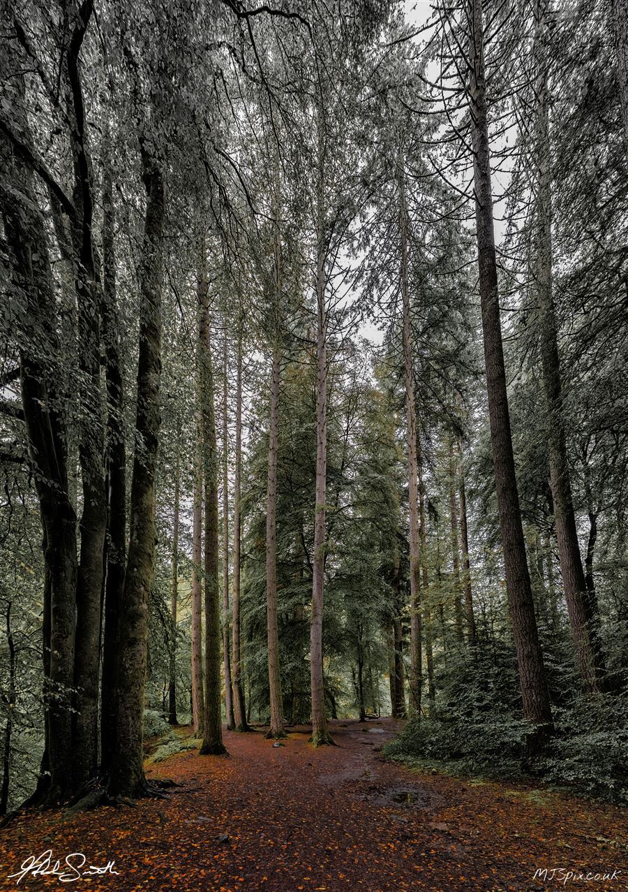 Photography by Malcolm J Smith