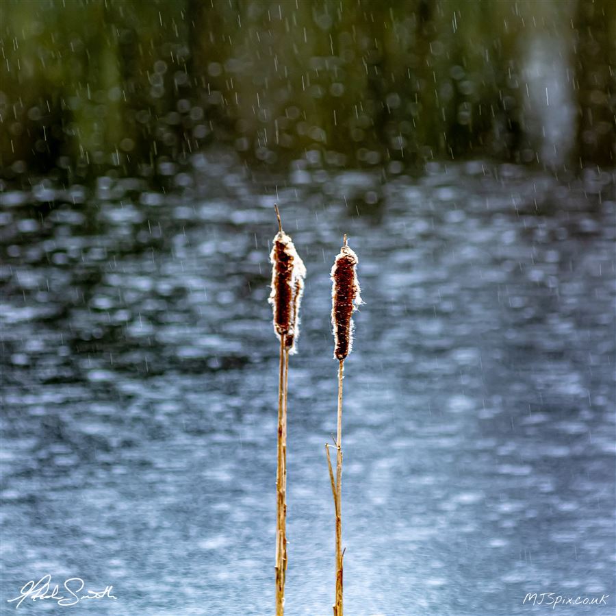 Photography by Malcolm J Smith
