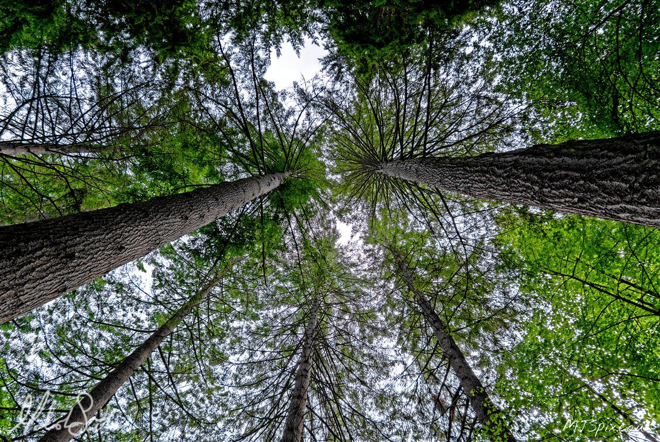Photography by Malcolm J Smith