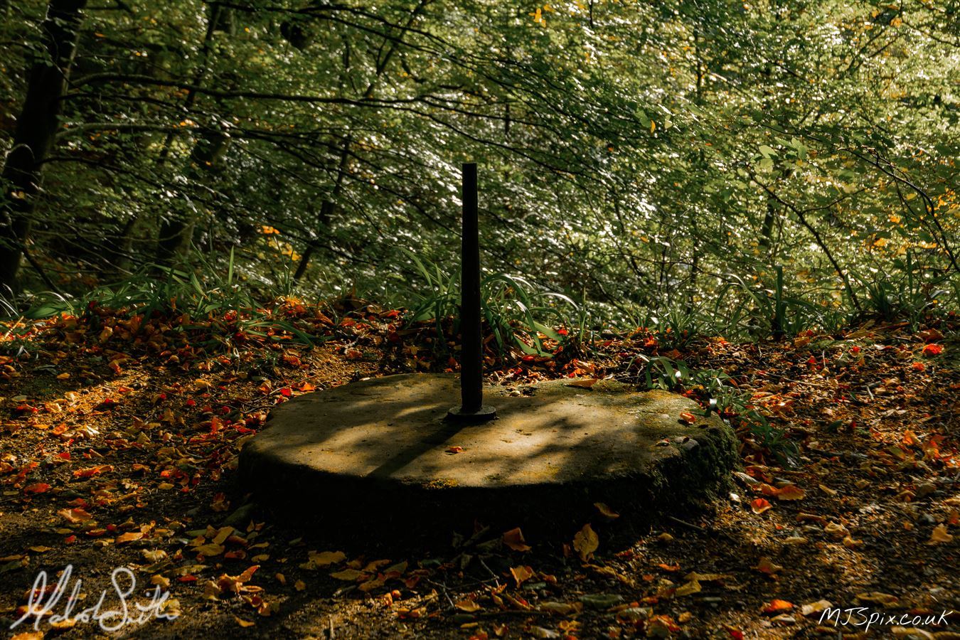 Shot along the River North Esk on the 