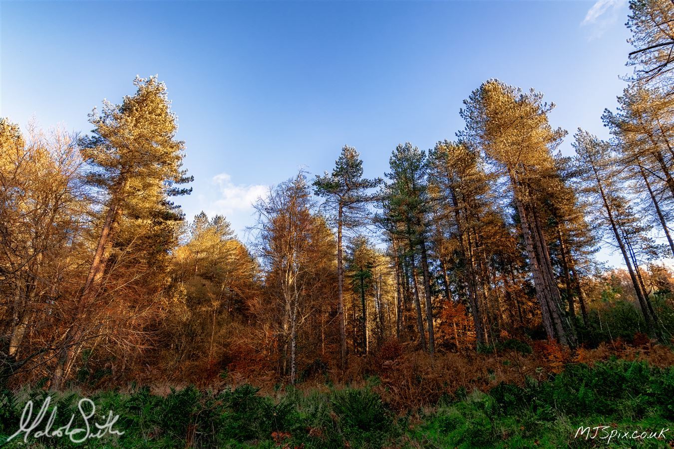 Photography by Malcolm J Smith