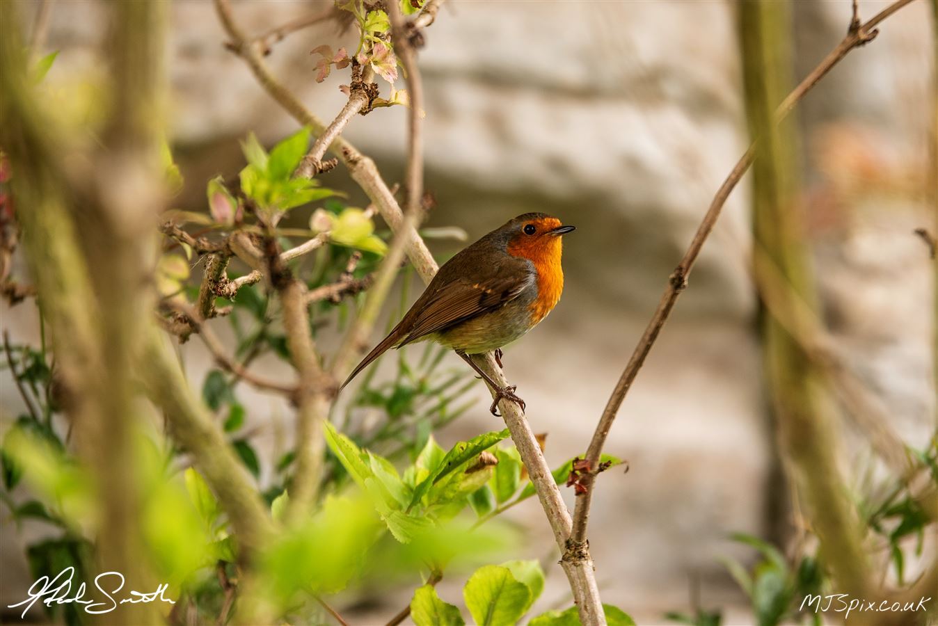 Photography by Malcolm J Smith