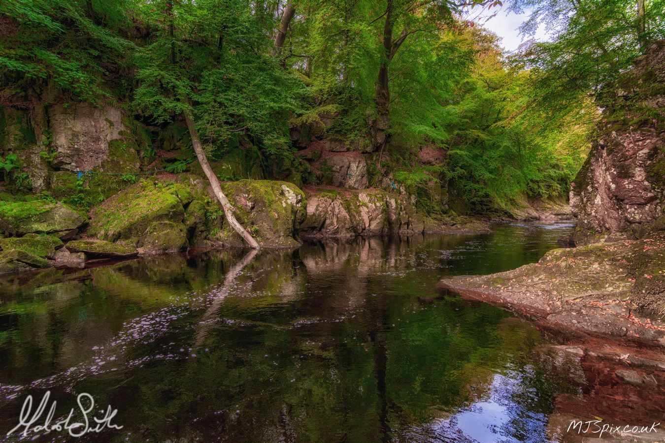 Shot along the River North Esk on the 