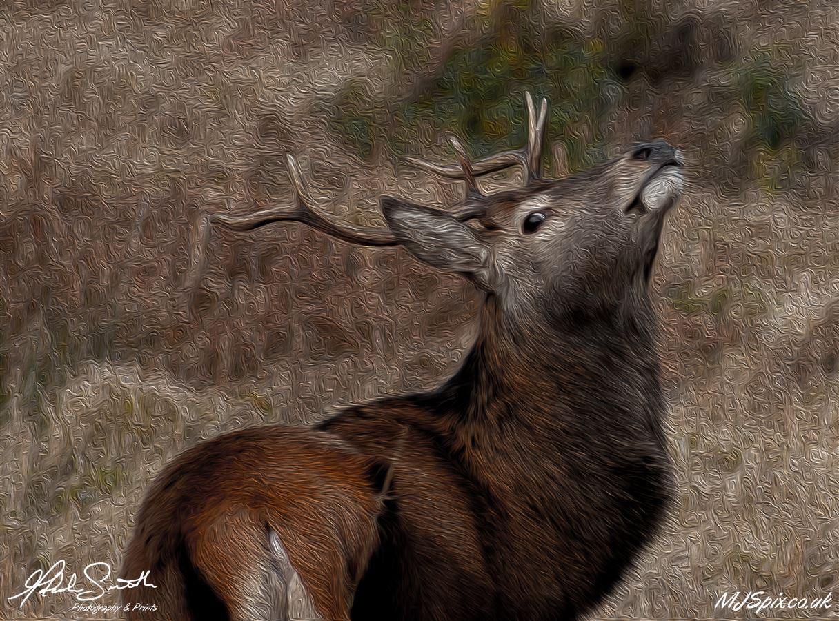 Glen Etive, Glen Coe
Photography by Malcolm J Smith