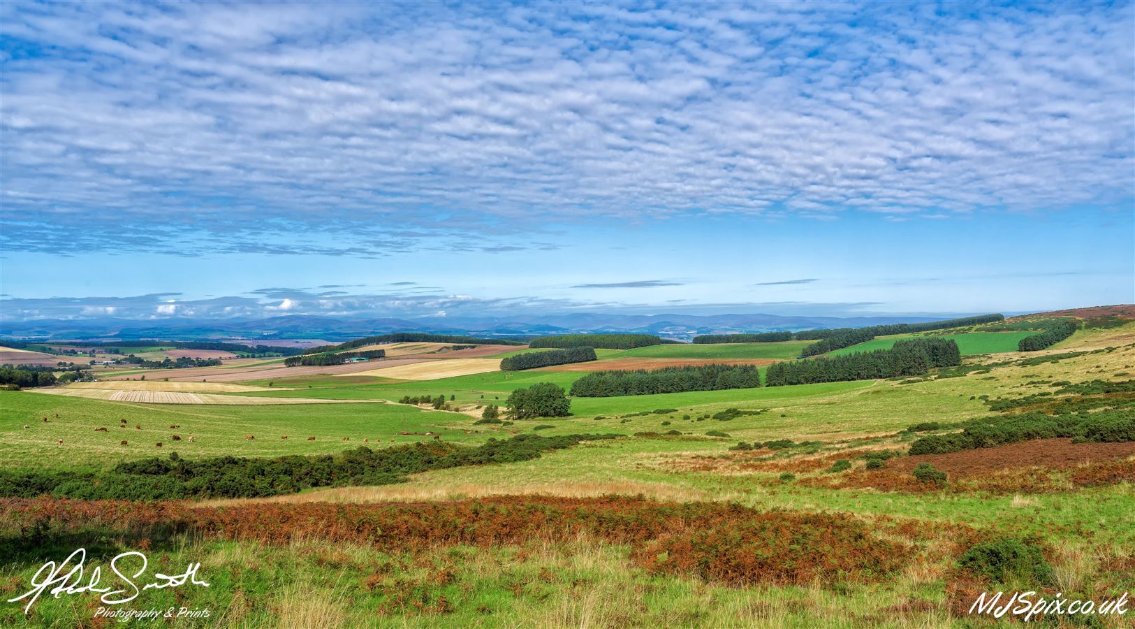 View over the Angus farmlands near Glamis
Photography by Malcolm J Smith