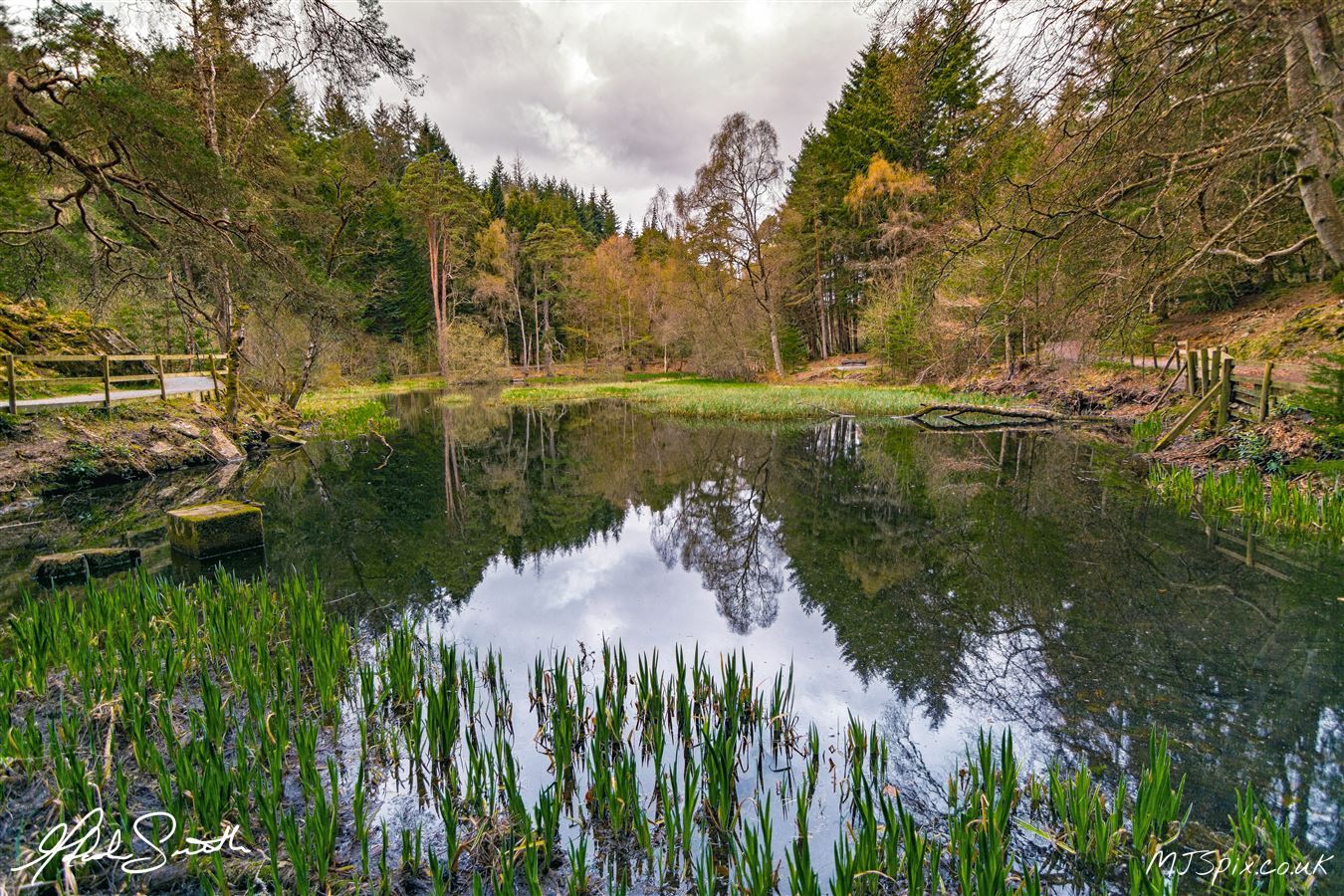 Photography by Malcolm J Smith