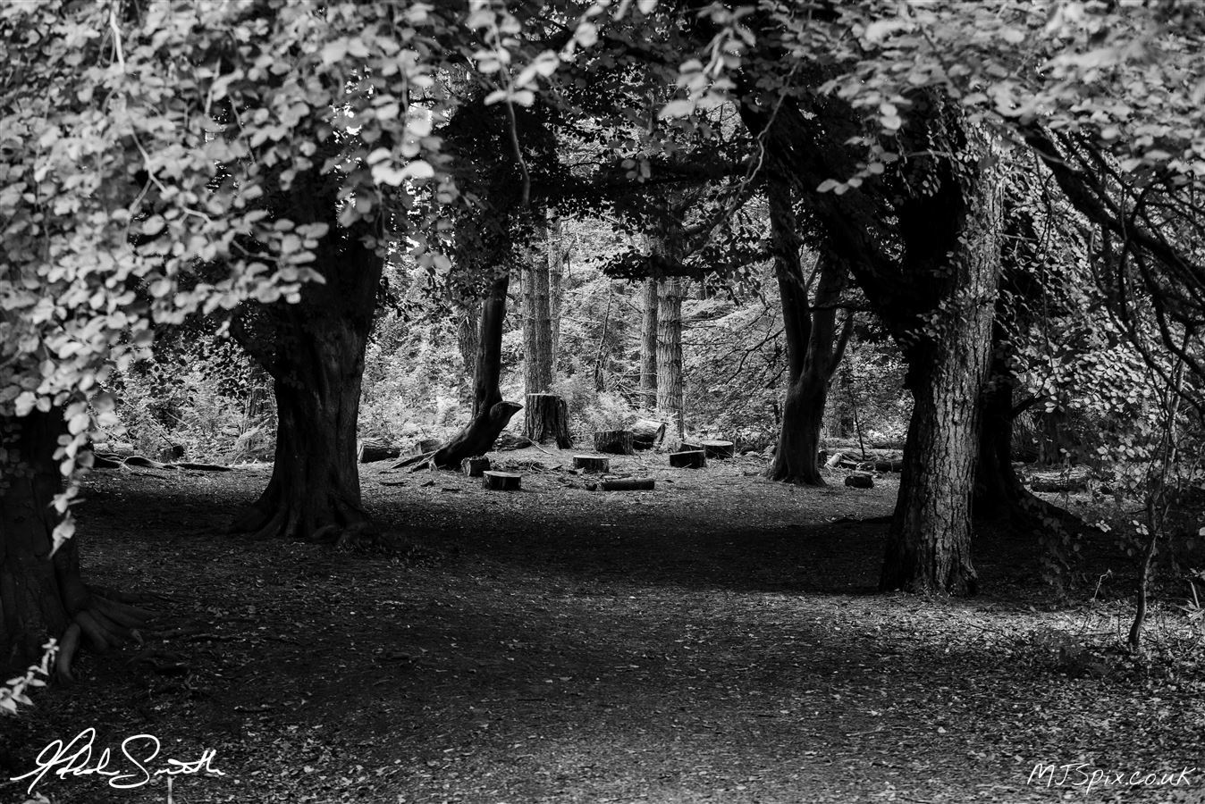 Photography by Malcolm J Smith