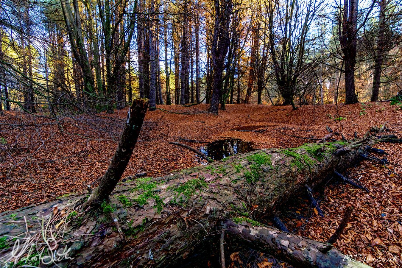 Photography by Malcolm J Smith