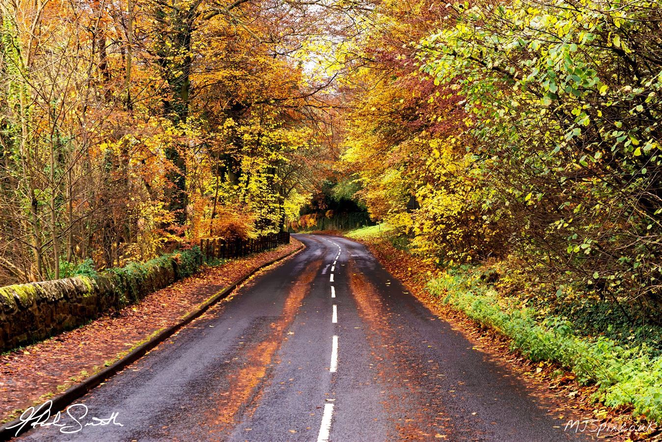 Photography by Malcolm J Smith