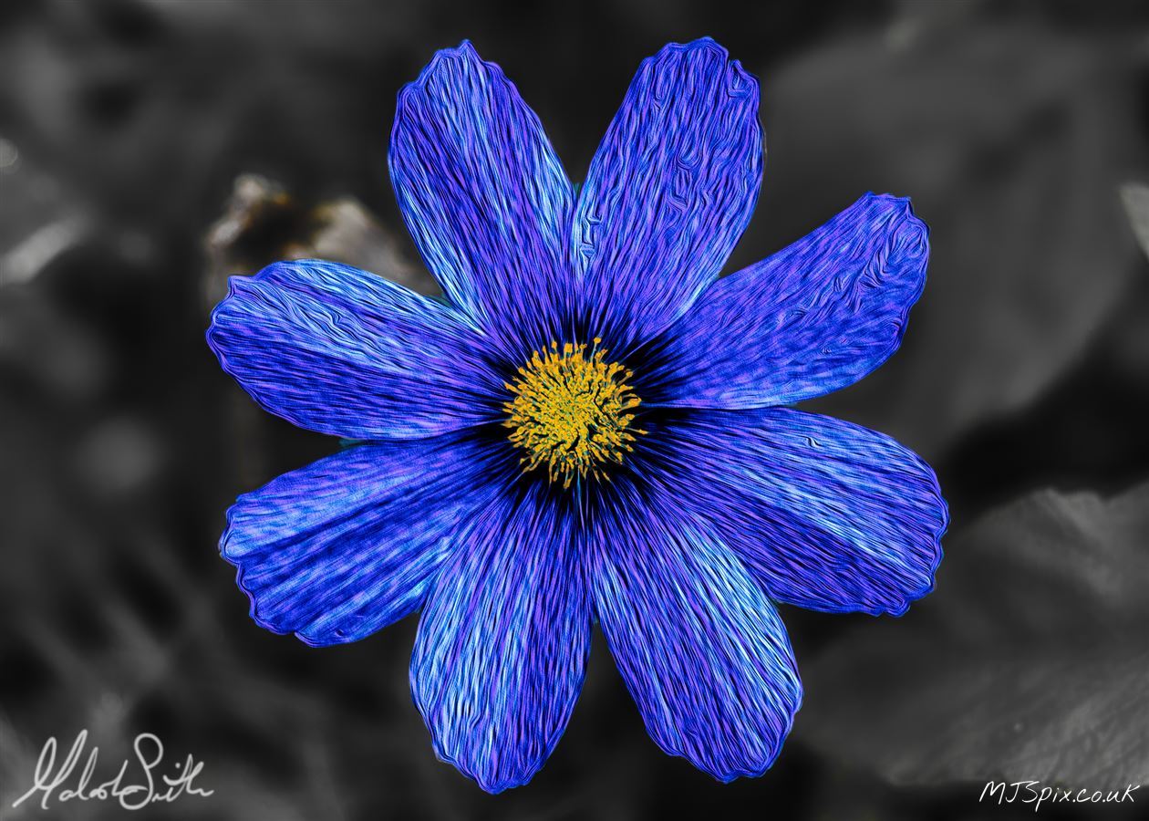 Photography by Malcolm J Smith