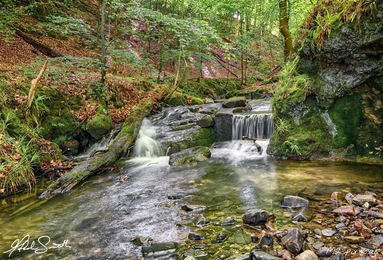 Taken after climbing up the falls, lovely little spot to sit and listen to birds singing and the water going over the falls (behind me)
Photography by Malcolm J Smith