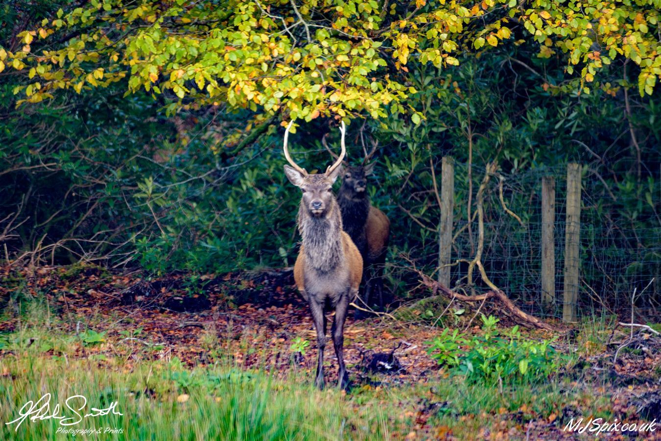 Photography by Malcolm J Smith