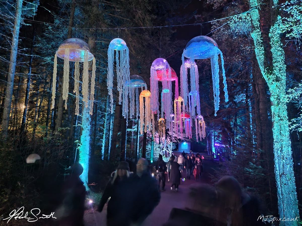 Photography by Malcolm J Smith