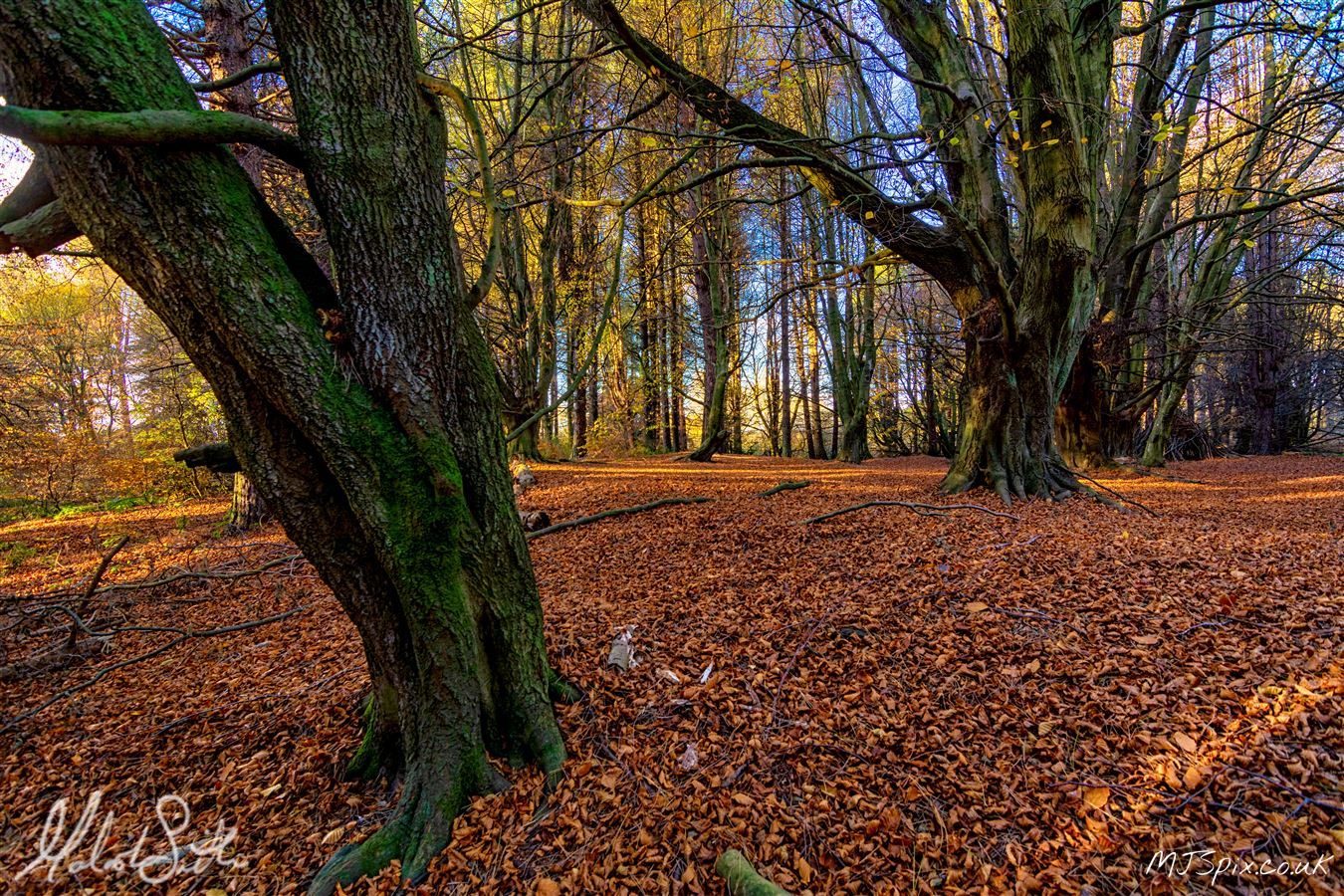 Photography by Malcolm J Smith