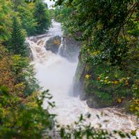 Visit to Reekie Linn after torrential rainfall.